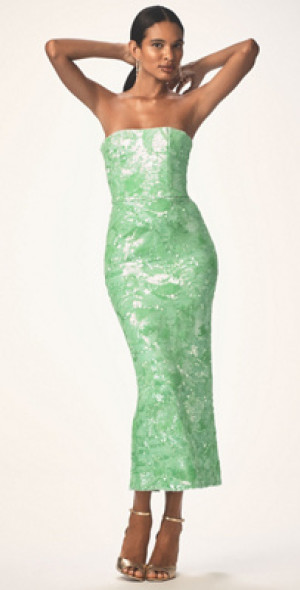 green emerald velvet dress New Anthropologie Blue & Green Print "Donau Dress" by Moulinette Soeur   The Mustard Dandelion