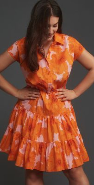 hutch shirt dress Hutch