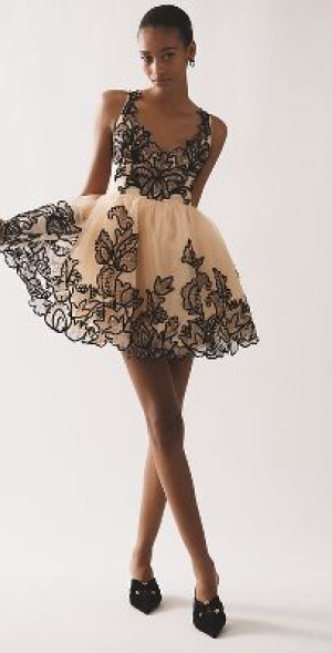 Maeve - Sleeveless V-Neck Lace Fit & Flare Mini Dress