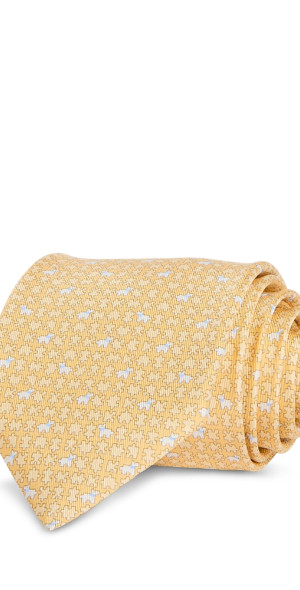 ferragamo tie dog