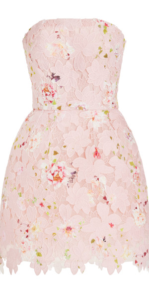 monique lhuillier strapless lace detailed printed mini dress Monique Lhuillier - - Strapless Lace-Detailed Printed Mini Dress - Pink - US 6
