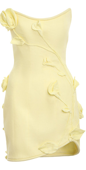 zimmermann golden ruffle mini dress Gold Paisley Maxine Tunic Mini Dress main image 1