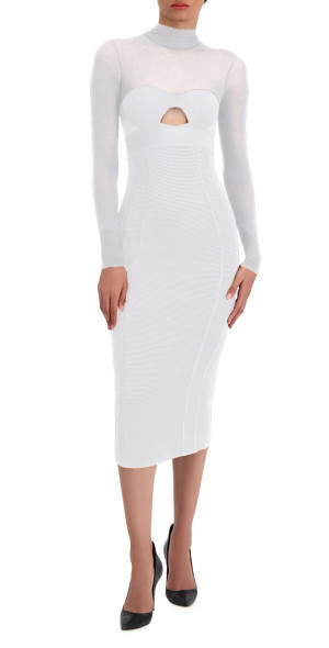 Herve Leger Dresses