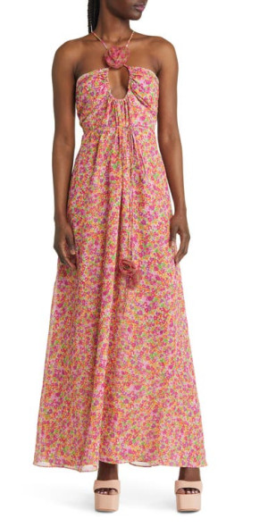 For Love Lemons Suzette Floral Chiffon Maxi Dress in Pink at