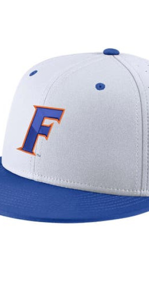 florida gators nike hat