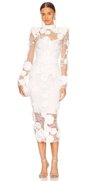 knee length dresses for ladies ZHIVAGO NETWORK MIDI DRESS main image 1
