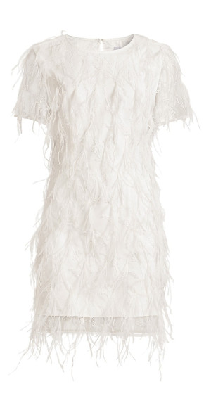 knee length dresses for ladies Moda Mia denim feather mini dress in Black