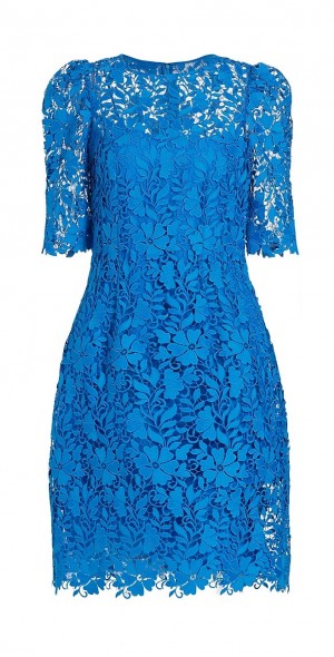 Teri Jon by Rickie Freeman - Women's Lace Fit & Flare Cocktail Dress