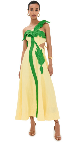 FARM Rio Dresses