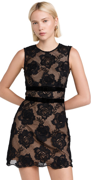 knee length dresses for ladies White Lace Bow Mini Dress – self-portrait-US main image 1